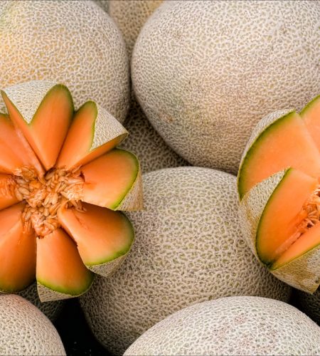 cantaloupes 2