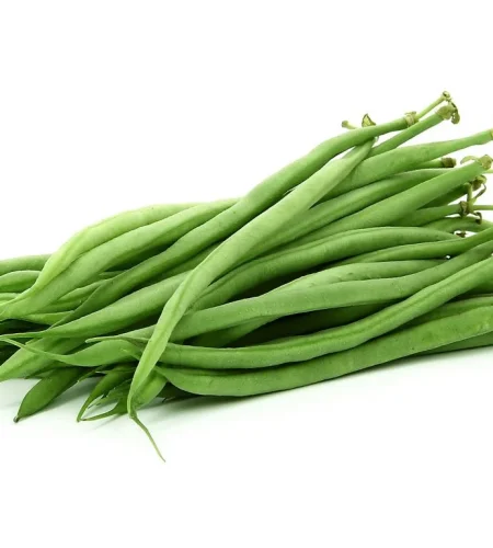 stringbeans_1200x1200